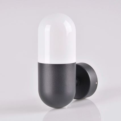Outdoor wall light HORTEN 1xE27/10W/230V IP44