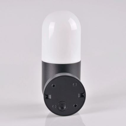 Outdoor wall light HORTEN 1xE27/10W/230V IP44