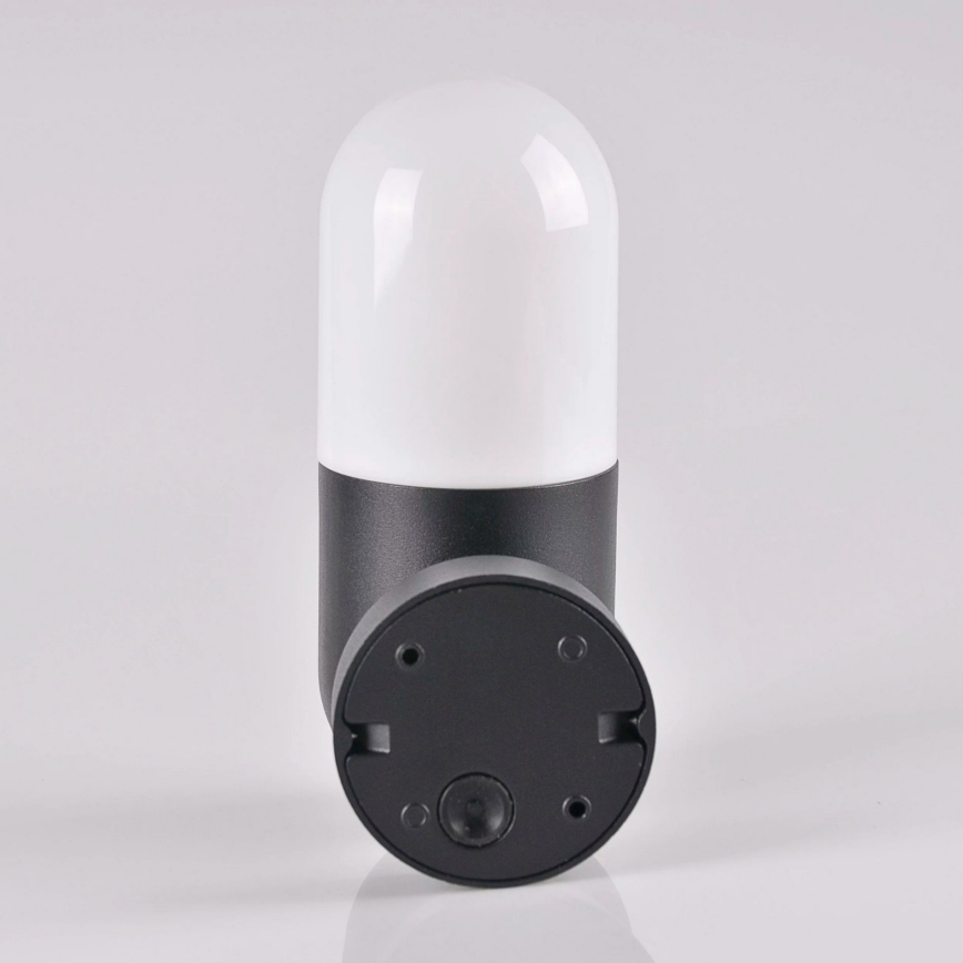 Outdoor wall light HORTEN 1xE27/10W/230V IP44