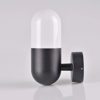 Outdoor wall light HORTEN 1xE27/10W/230V IP44