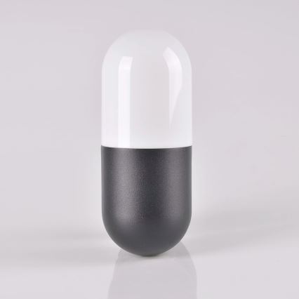 Outdoor wall light HORTEN 1xE27/10W/230V IP44