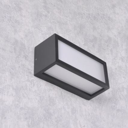 Outdoor wall light MITO 1xE27/12W/230V IP54