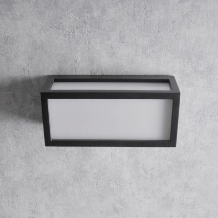 Outdoor wall light MITO 1xE27/12W/230V IP54
