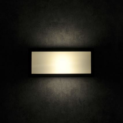 Outdoor wall light MITO 1xE27/12W/230V IP54