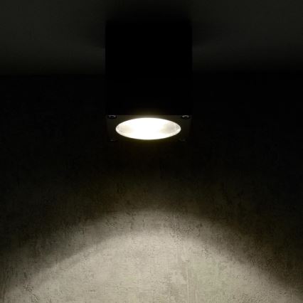 Outdoor wall light MORRIS 1xGU10/35W/230V IP54