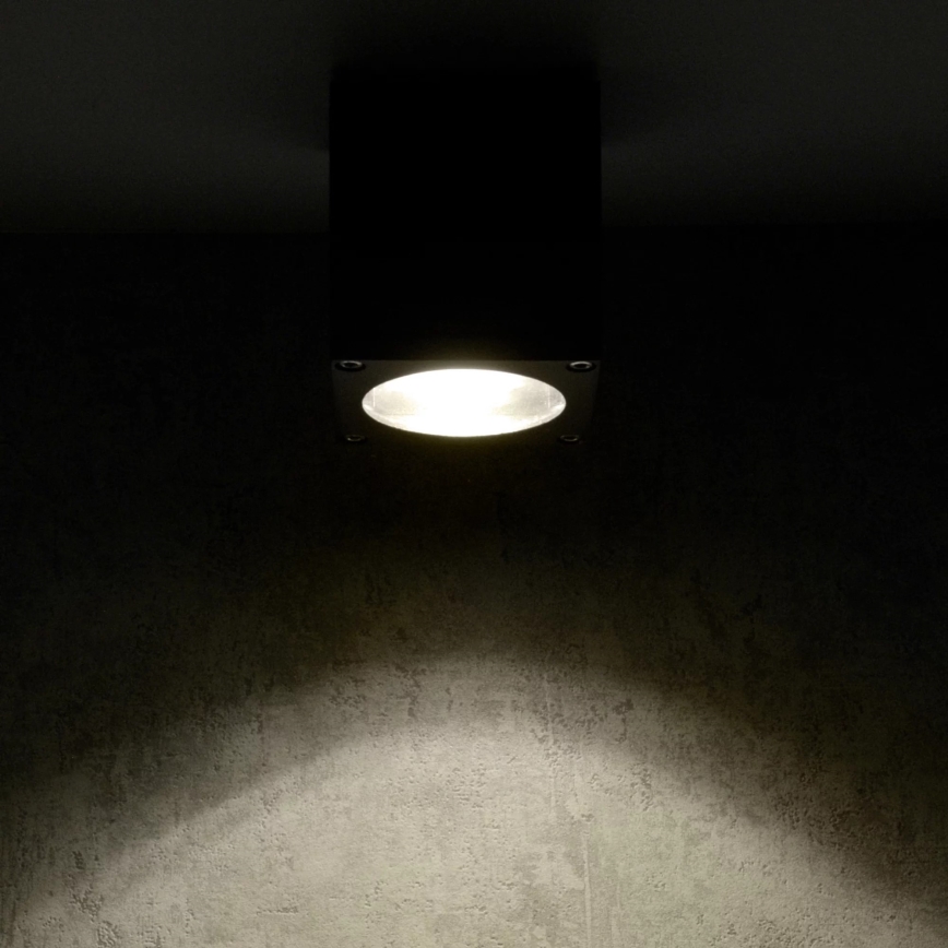 Outdoor wall light MORRIS 1xGU10/35W/230V IP54