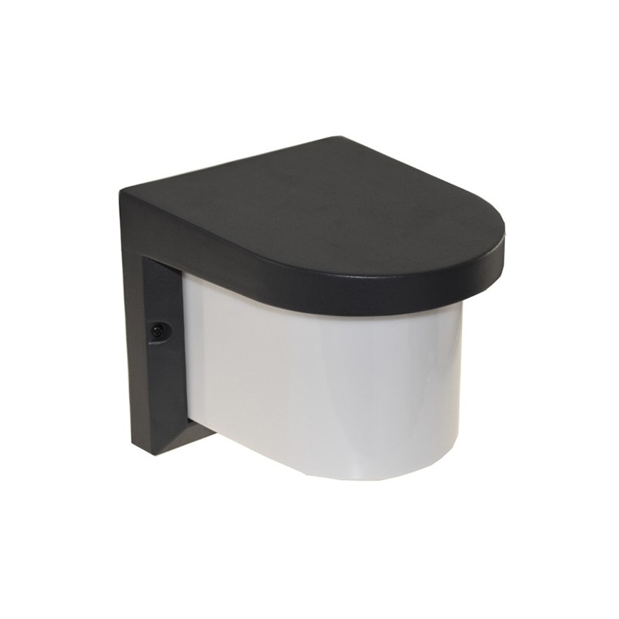 Outdoor wall light PETUNIA 1xE27/60W/230V IP44 anthracite