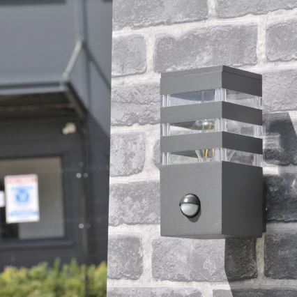 Outdoor wall light with a sensor TEKSAS 1xE27/12W/230V IP44 graphite