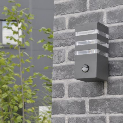 Outdoor wall light with a sensor TEKSAS 1xE27/12W/230V IP44 graphite