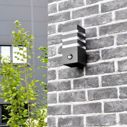 Outdoor wall light with a sensor TEKSAS 1xE27/12W/230V IP44 graphite