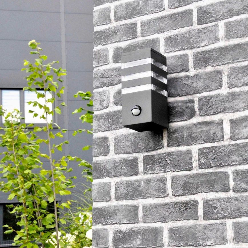 Outdoor wall light with a sensor TEKSAS 1xE27/12W/230V IP44 graphite