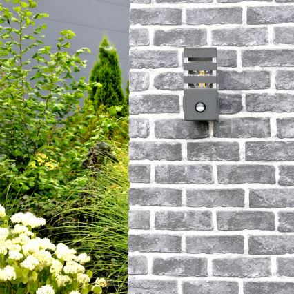 Outdoor wall light with a sensor TEKSAS 1xE27/12W/230V IP44 graphite