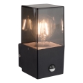 Outdoor wall light with motion and dusk sensor, 1xE27/40W/230V, IP44, black/smoked