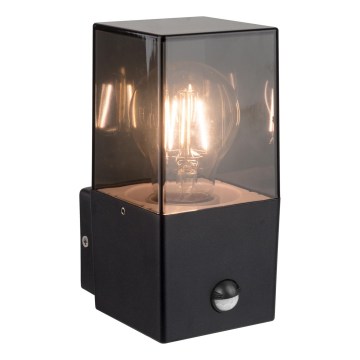 Outdoor wall light with motion and dusk sensor, 1xE27/40W/230V, IP44, black/smoked
