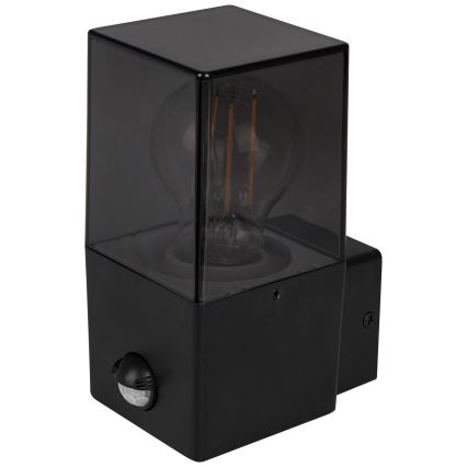 Outdoor wall light with motion and dusk sensor, 1xE27/40W/230V, IP44, black/smoked