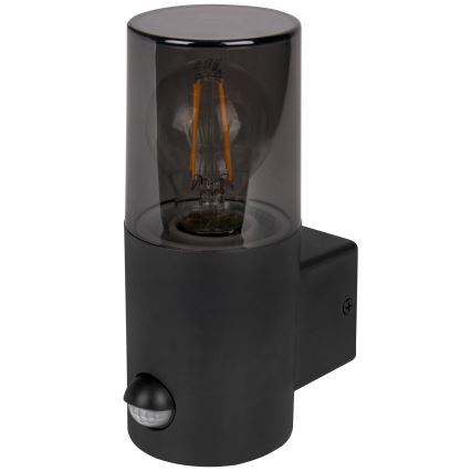 Outdoor wall light with motion and dusk sensor, 1xE27/40W/230V, IP44, black/smoked