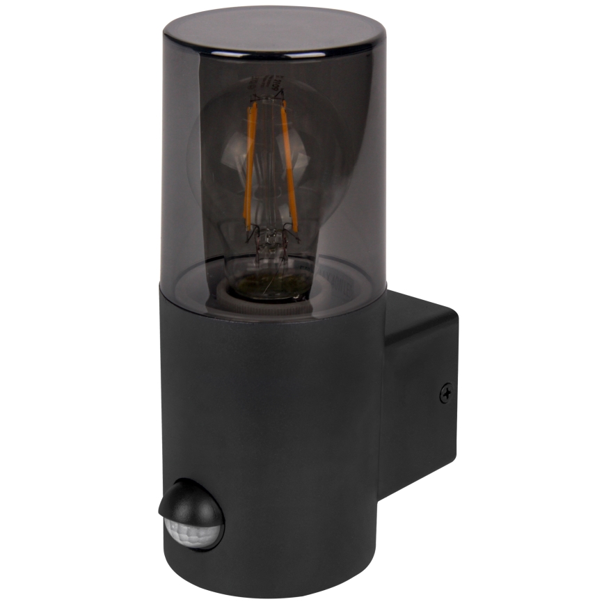 Outdoor wall light with motion and dusk sensor, 1xE27/40W/230V, IP44, black/smoked