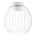 OVELLA Ceiling Light, 1x GX53/10W/230V, Ø 25 cm, Cream