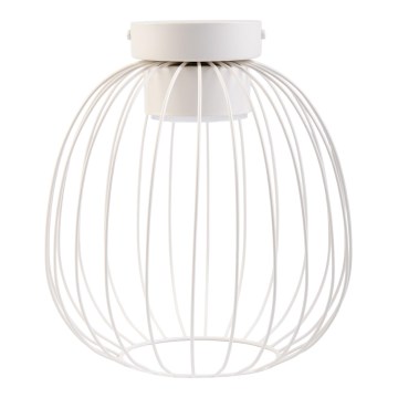 OVELLA Ceiling Light, 1x GX53/10W/230V, Ø 25 cm, Cream