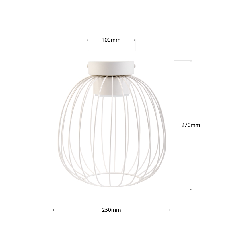 OVELLA Ceiling Light, 1x GX53/10W/230V, Ø 25 cm, Cream