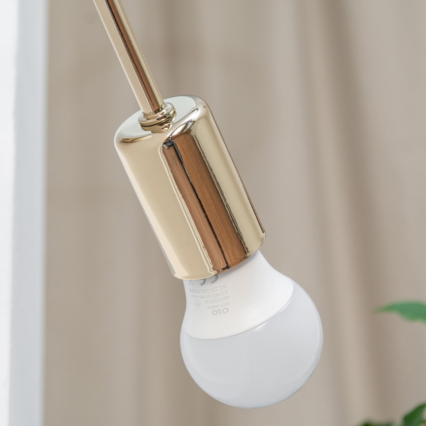 OXFORD Wall Light 1xE27/15W/230V Gold