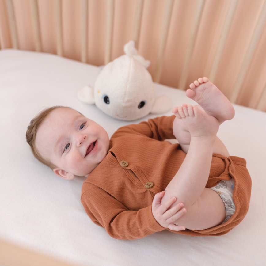 PABOBO - Glowing plush toy with melody BELUGA 3xAAA whale