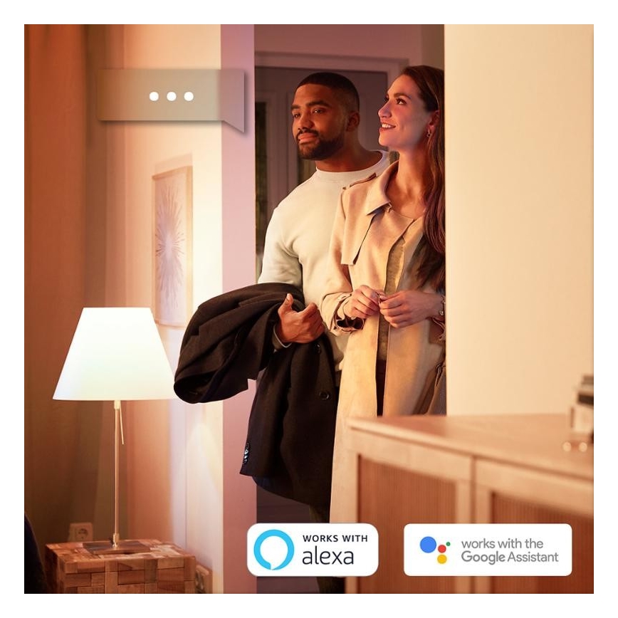 SET 2x LED Dimming bulb Philips HUE WHITE E27/9W/230V