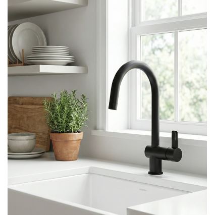 Paffoni - RINGO Kitchen Sink Mixer Tap, Black