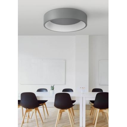 LED Ceiling light KAJI LED/20W/230V