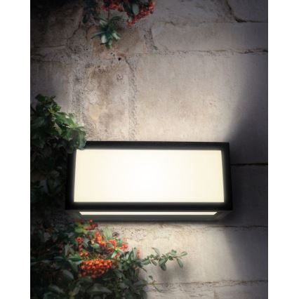 Outdoor wall light TONY 1xE27/18W/230V IP54