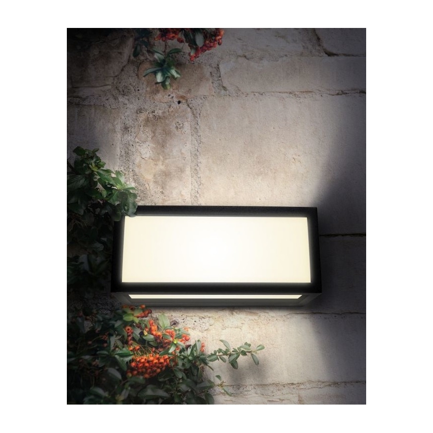 Outdoor wall light TONY 1xE27/18W/230V IP54