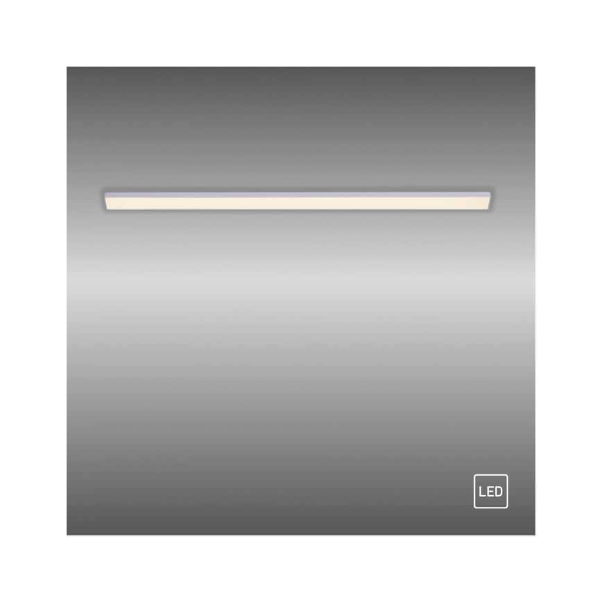 Paul Neuhaus 1125-21-A - LED Extension under kitchen cabinet light AMON LED/6W/12/230V
