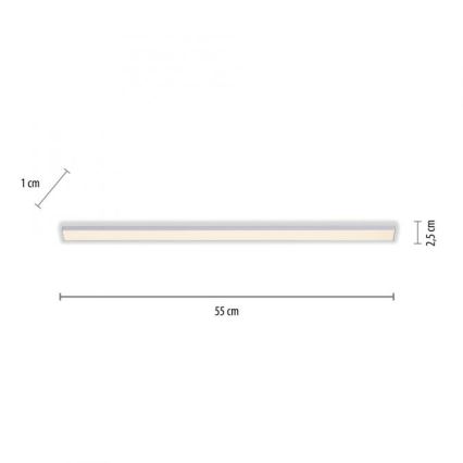 Paul Neuhaus 1125-21-A - LED Extension under kitchen cabinet light AMON LED/6W/12/230V
