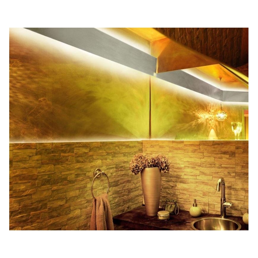Paul Neuhaus 1205-70 - LED RGB Dimmable strip TEANIA 10m LED/30W/12/230V + remote control