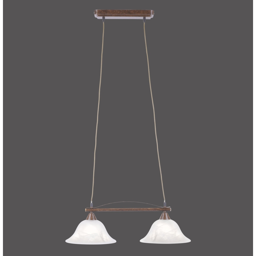 Paul Neuhaus 15242-48 - Chandelier on a string NELLY 2xE14/40W/230V