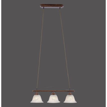Paul Neuhaus 15243-48 - Chandelier on a string NELLY 3xE14/40W/230V