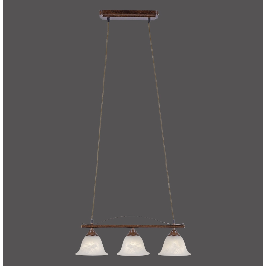 Paul Neuhaus 15243-48 - Chandelier on a string NELLY 3xE14/40W/230V