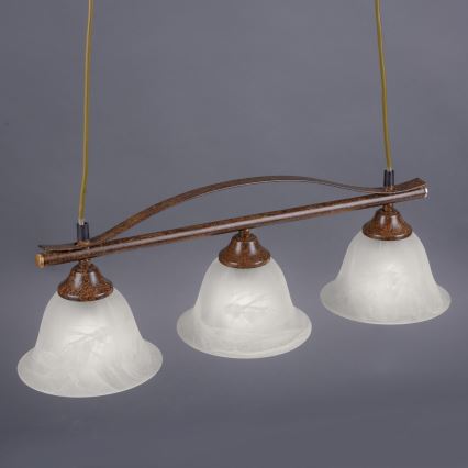 Paul Neuhaus 15243-48 - Chandelier on a string NELLY 3xE14/40W/230V