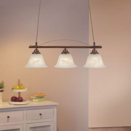 Paul Neuhaus 15243-48 - Chandelier on a string NELLY 3xE14/40W/230V