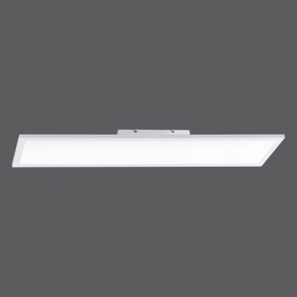 Paul Neuhaus 16533-16-O - LED Dimmable surface-mounted panel FLAT LED/24W/230V 2700-5000K white + remote control
