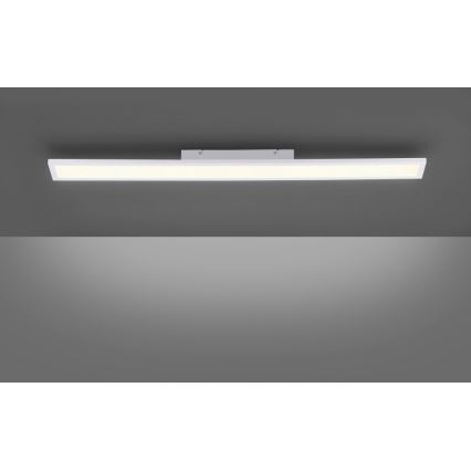 Paul Neuhaus 16537-16-O - LED Dimmable surface-mounted panel FLAT LED/21W/230V + remote control
