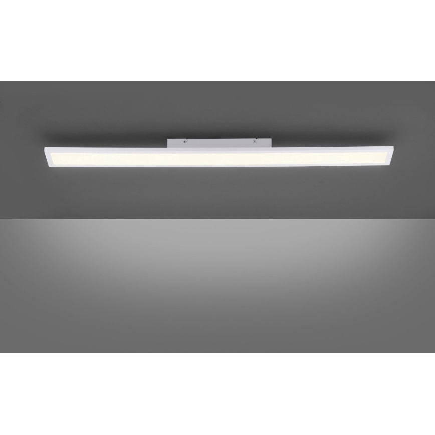 Paul Neuhaus 16537-16-O - LED Dimmable surface-mounted panel FLAT LED/21W/230V + remote control