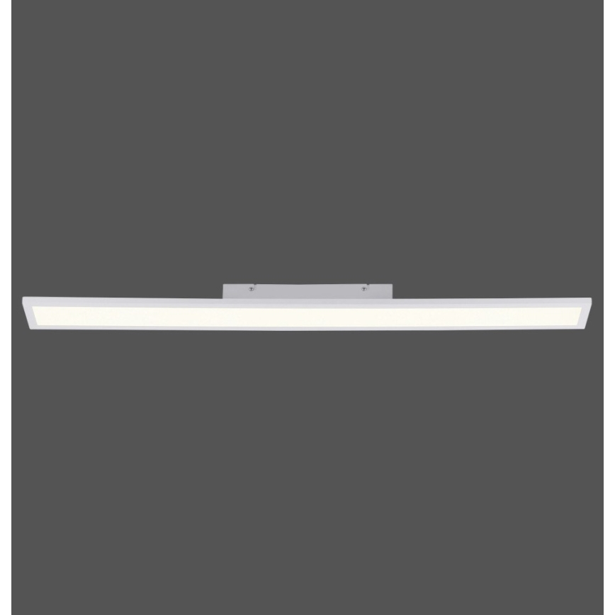 Paul Neuhaus 16537-16-O - LED Dimmable surface-mounted panel FLAT LED/21W/230V + remote control