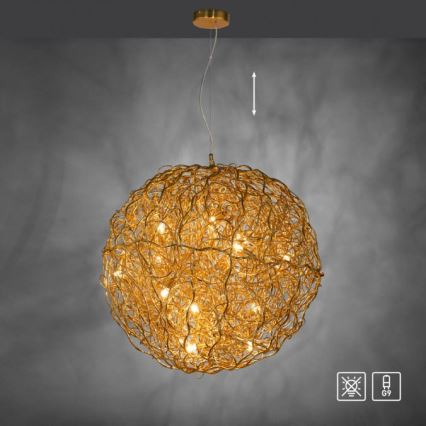 Paul Neuhaus 2019-12 - Cable-suspended pendant SAREA 15xG9/40W/230V gold