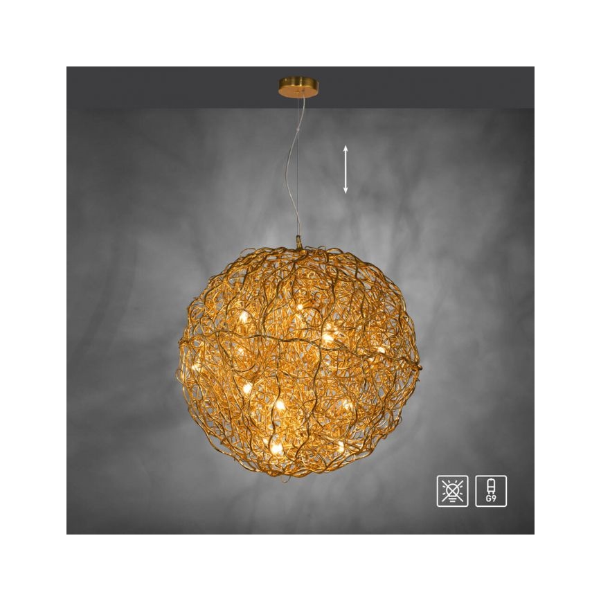 Paul Neuhaus 2019-12 - Cable-suspended pendant SAREA 15xG9/40W/230V gold