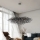 Paul Neuhaus 2031-18 - ICICLE cable-suspended chandelier 15xG9/40W/230V 75x150 cm black