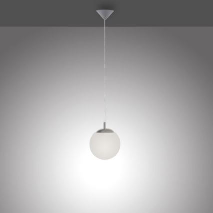 Paul Neuhaus 2072-55 - Chandelier on a string BOLO 1xE27/60W/230V d. 20 cm