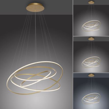Paul Neuhaus 2124-60 - LED Dimmable chandelier on a string TESSARA LED/97W/230V 2700-5000K + remote control