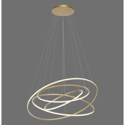 Paul Neuhaus 2124-60 - LED Dimmable chandelier on a string TESSARA LED/97W/230V 2700-5000K + remote control