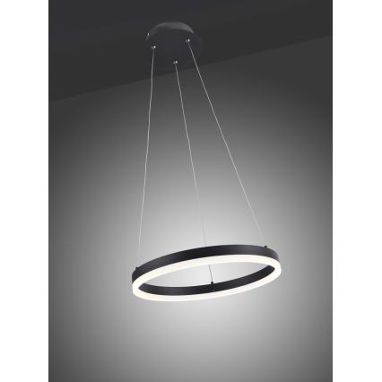 Paul Neuhaus 2381-13 - LED Dimmable chandelier on a string TITUS LED/28W/230V